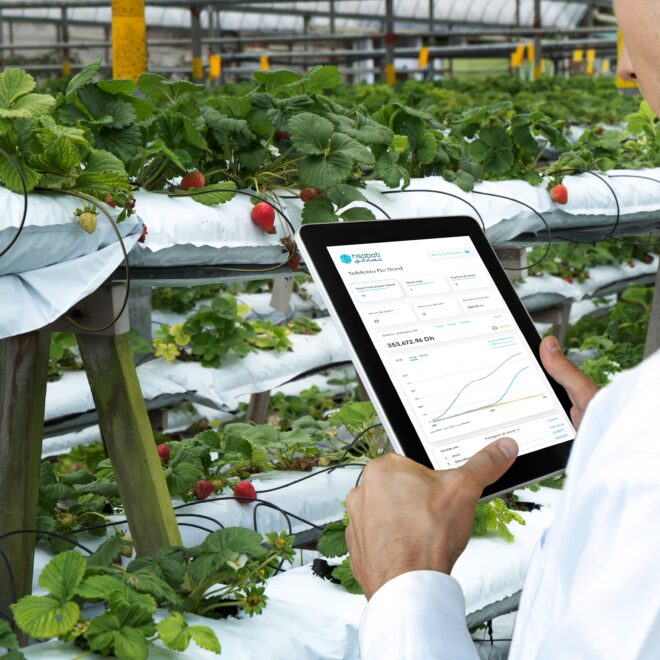 Prenez le contrôle de votre activité agroalimentaire grâce à Hsabati !