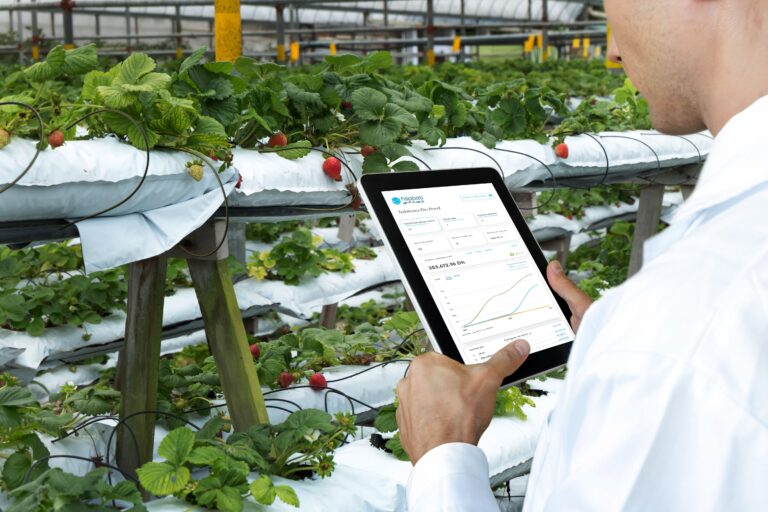 Prenez le contrôle de votre activité agroalimentaire grâce à Hsabati !